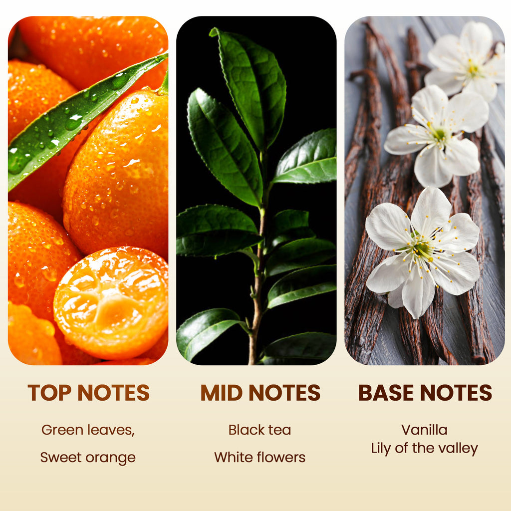 Scent Aura IV Me Time Fragrance Oil Inspired by Hyatt Hotel Scent Essential Oil for Diffusers (1.69 fl oz, Notes:Sweet Orange, Black Tea,Vanilla, Lily)