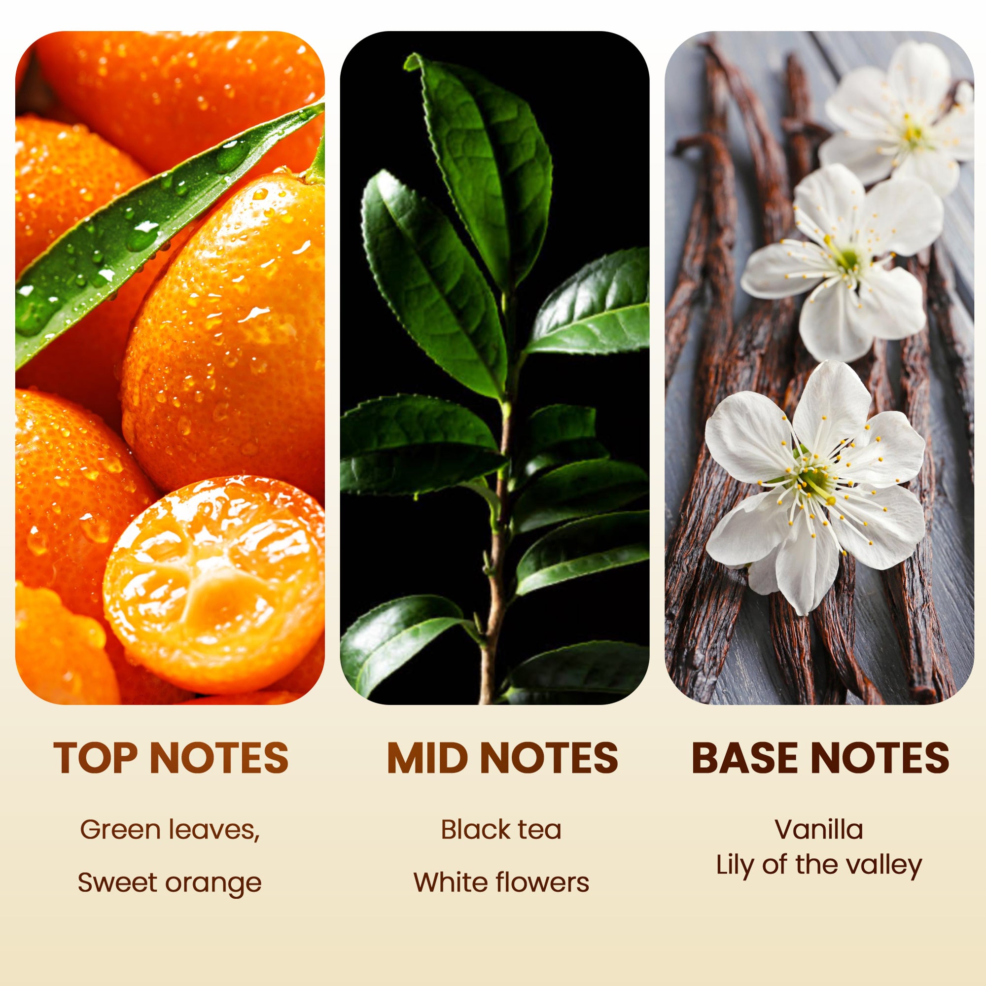 Scent Aura IV Me Time Fragrance Oil Inspired by Hyatt Hotel Scent Essential Oil for Diffusers (1.69 fl oz, Notes:Sweet Orange, Black Tea,Vanilla, Lily)
