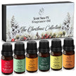 Set of six Christmas diffuser oils with colorful labels in front of a 'Scent Aura IV' Christmas collection box.